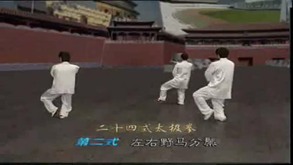 吴阿敏24式太极拳全部分解教学图片_吴阿敏2