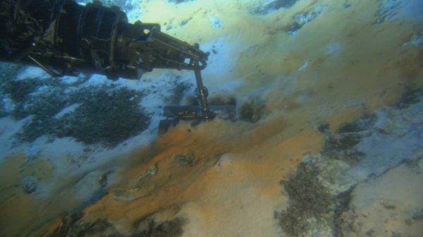 IPB Image