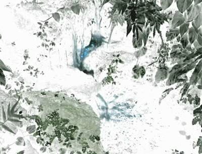 IPB Image