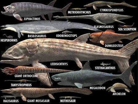 [BBC.海洋怪物].seamonsterall.jpg